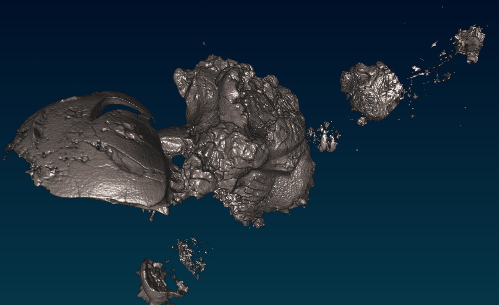 scaly tetrapod CT scan