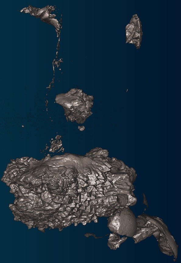 scaly tetrapod in cretaceous amber CT scan